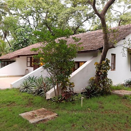 Banyan House - Luxurious 4 Bedroom Villa On One Acre, Near The Beach Nagaon  Dış mekan fotoğraf