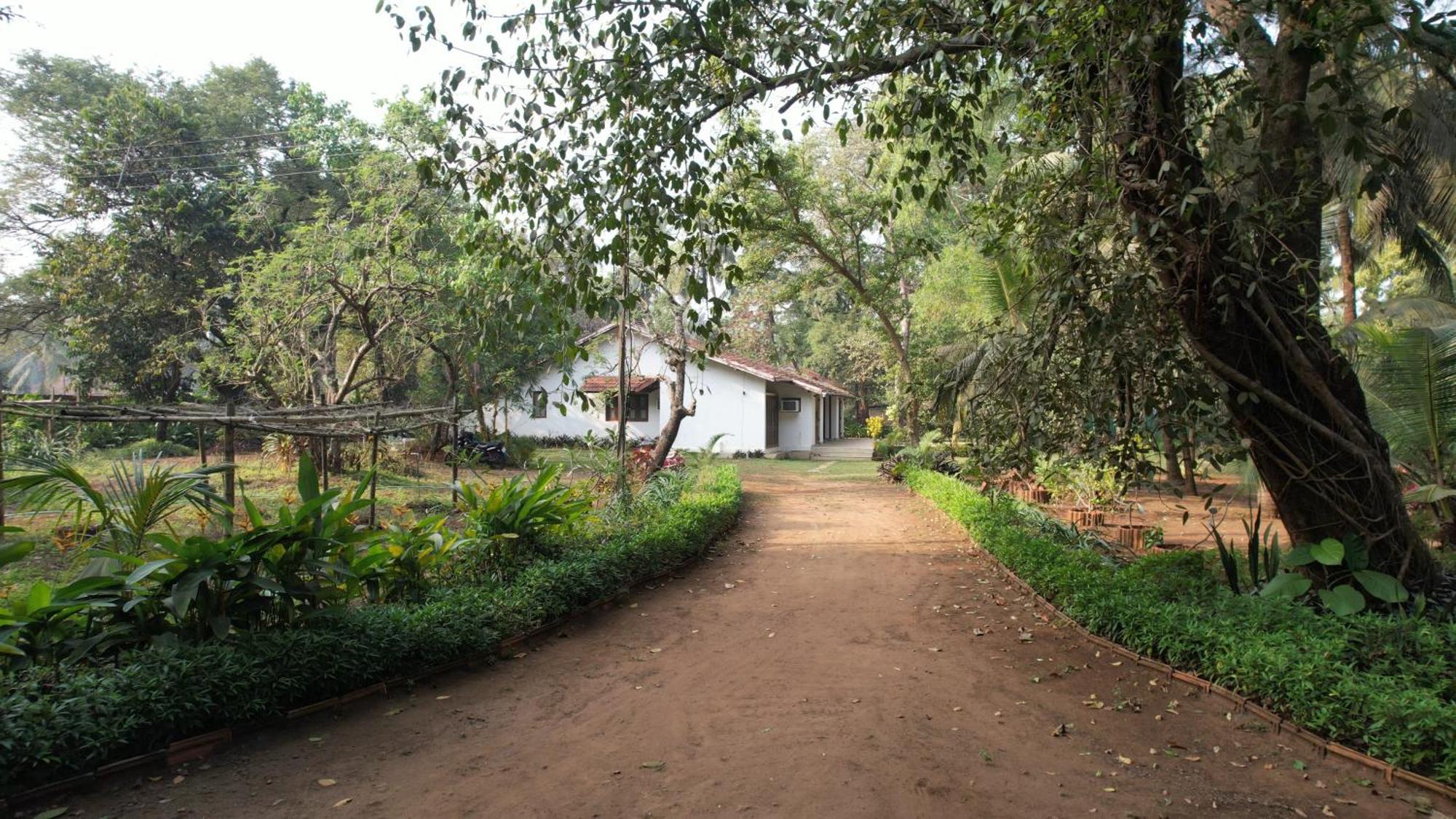Banyan House - Luxurious 4 Bedroom Villa On One Acre, Near The Beach Nagaon  Dış mekan fotoğraf